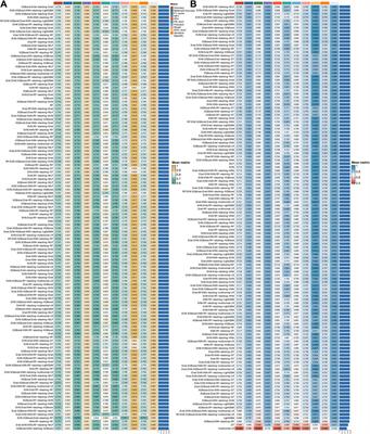 ecGBMsub: an integrative stacking ensemble model framework based on eccDNA molecular profiling for improving IDH wild-type glioblastoma molecular subtype classification